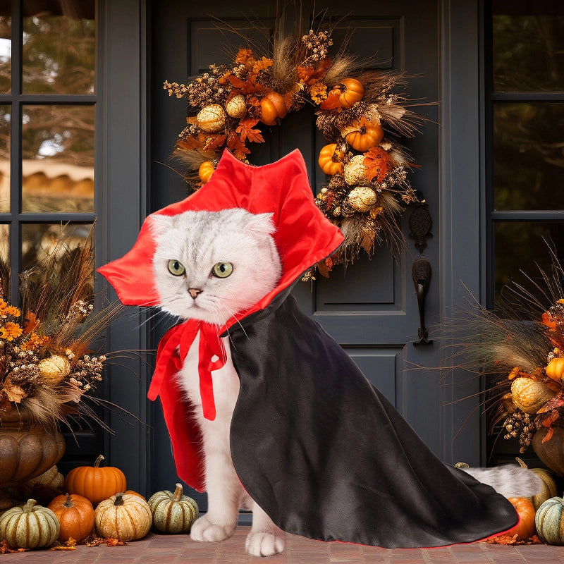 Cool Style Cloth Halloween Solid Color Pet Clothing