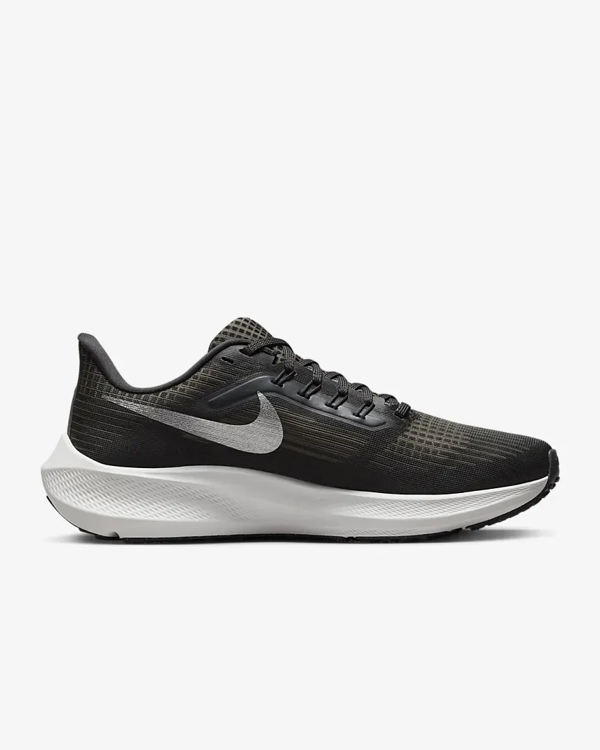 Nike Pegasus 39