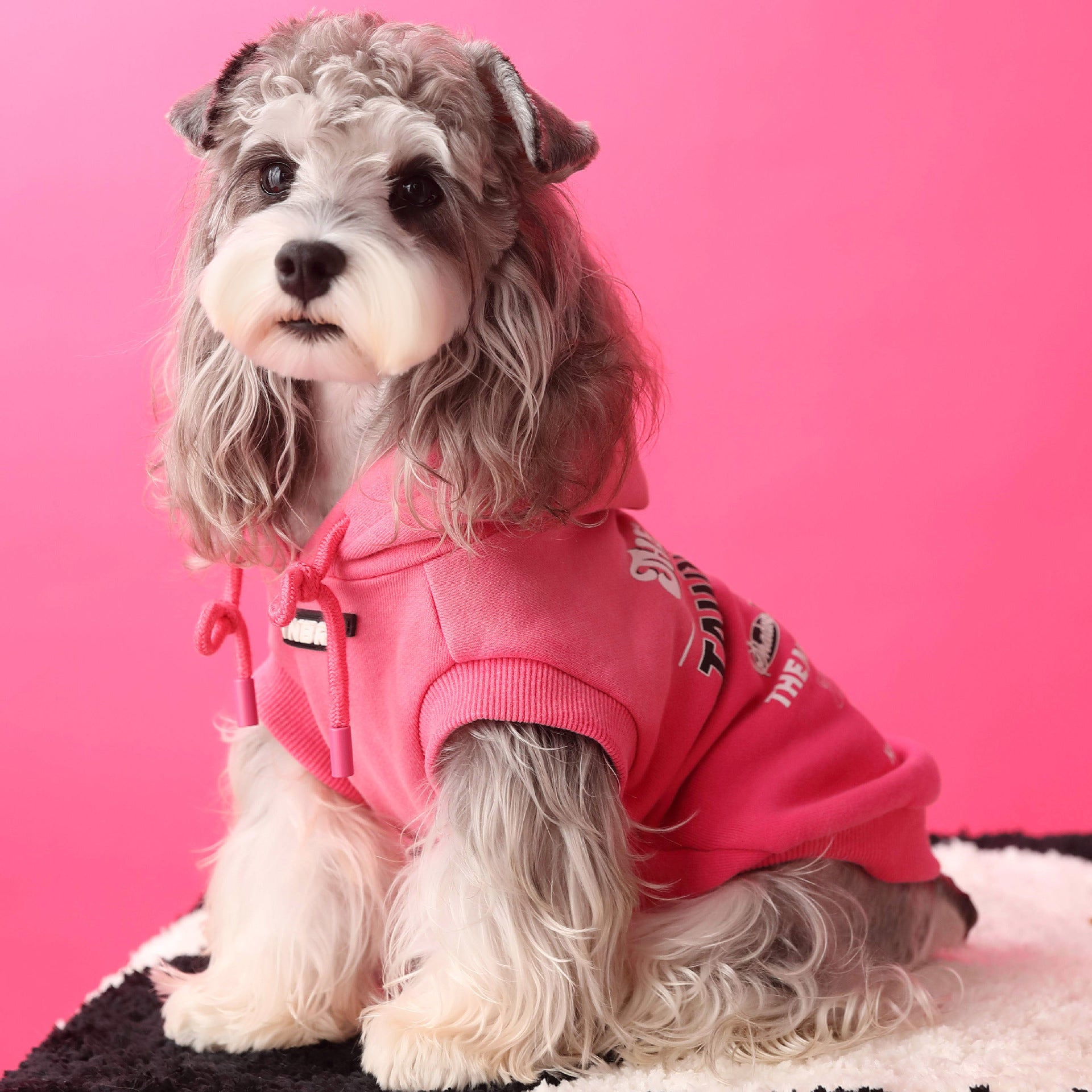 Letter Printed Dog Cat Short Sleeves Hoodie