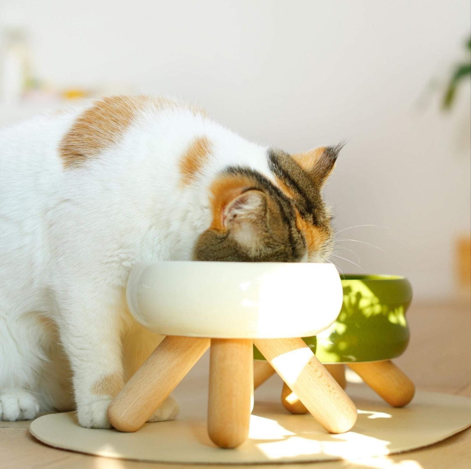 Meoof Gulu Ceramic Pet Food/Water Cat Bowls Small Dog Bowls with Wooden Stand