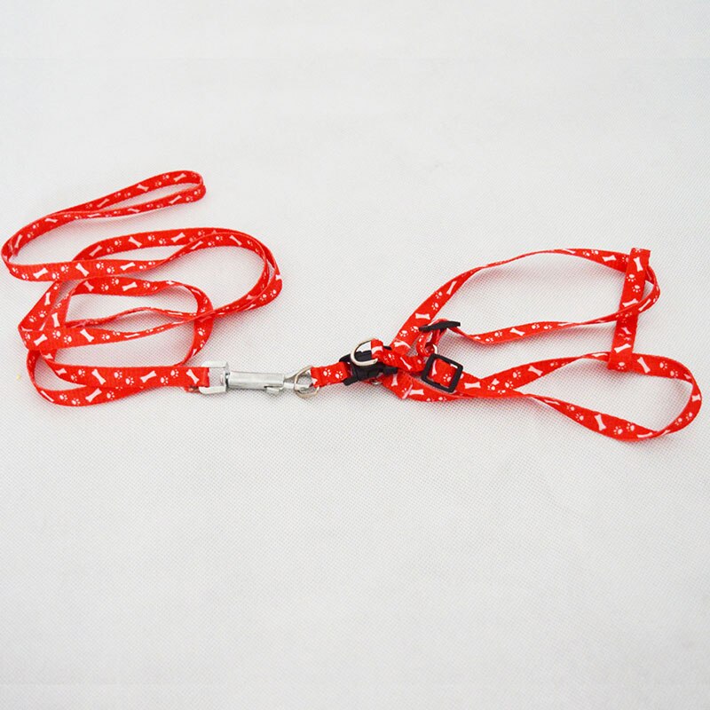 Pet Dog Red Cute Leash