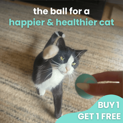 😺Automatic Smart Rolling Ball Toy😸