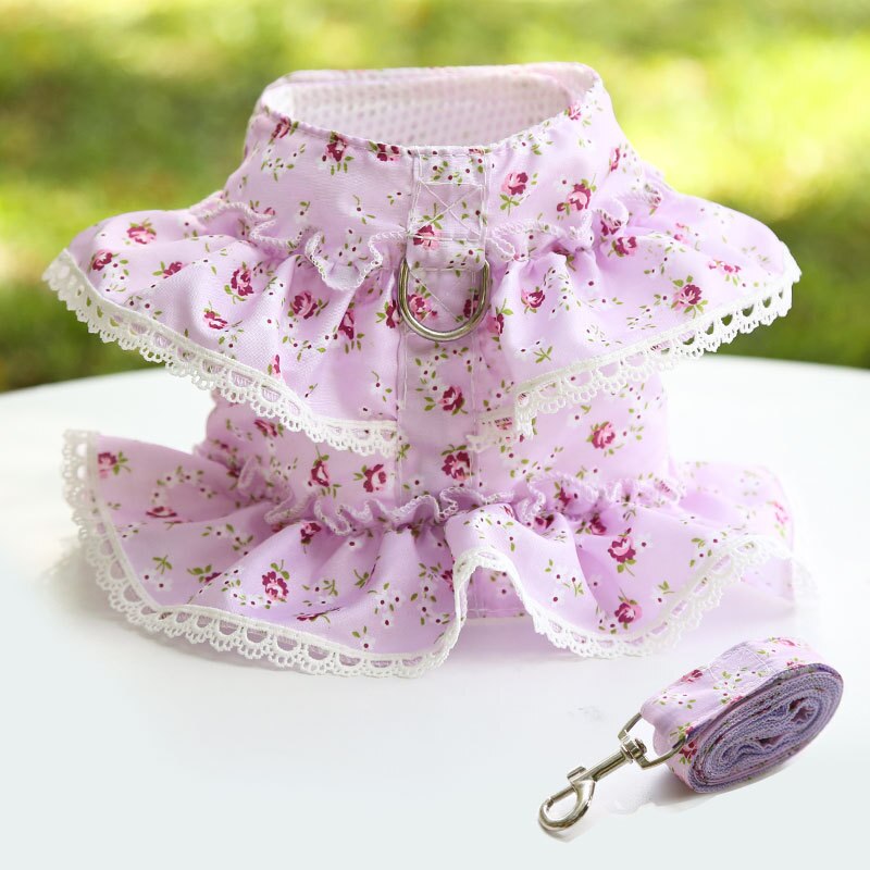 Cute Vest Harness And Leashes
