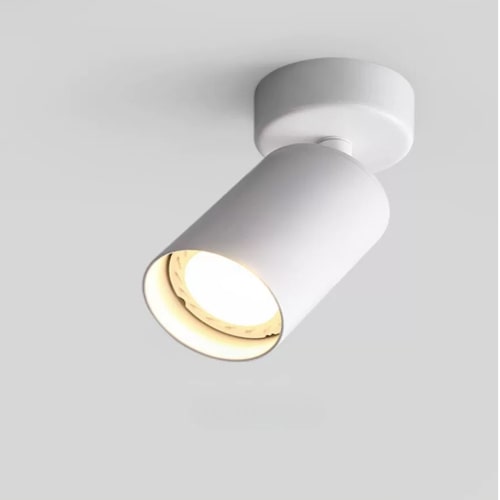 Fargo | Surface Mounted Spotlight